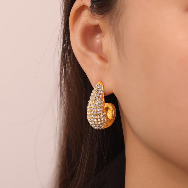 Solanales Crystal Hoop Earrings  |  Womens Earrings Earrings CRYSTALS